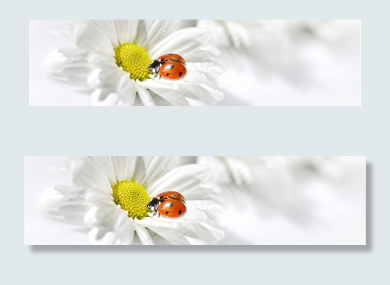 淘宝banner背景图