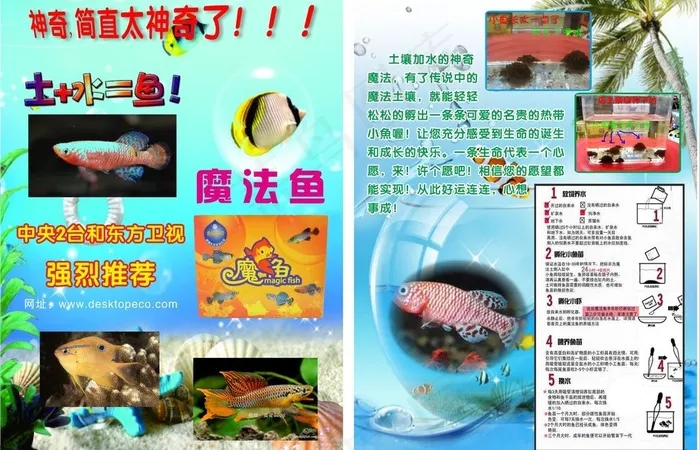 魔法鱼宣传单cdr矢量模版下载