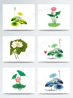 中国风的谷雨荷叶元素素材