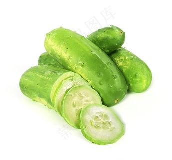 节瓜三维模型图片