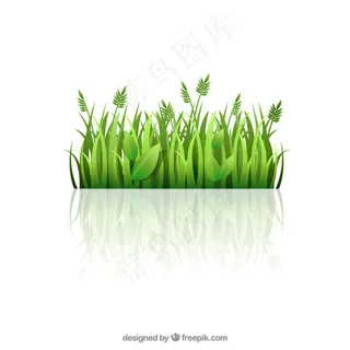 绿色的草