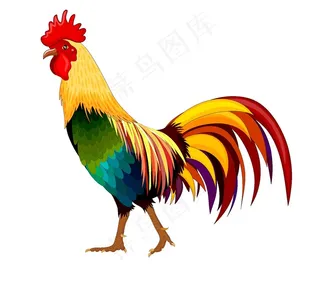 公鸡矢量图