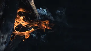 慢动作录像2股烧焦的日志 视频免费...