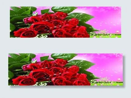 玫瑰无框画图片