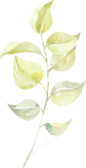 手绘绿茶叶子png透明素材