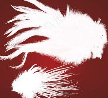 另类光束翅膀笔刷图片