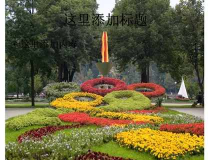 奥运五环城市花圃