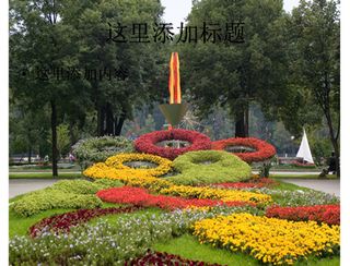 奥运五环城市花圃