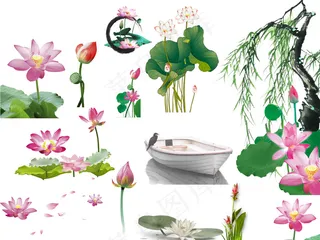 精美荷花素材PSD分层源文件