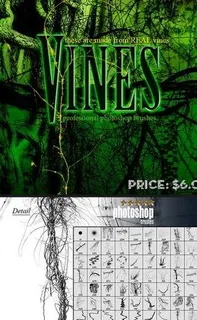 高清藤枝藤蔓ps笔刷图片