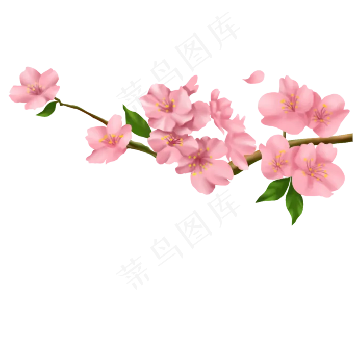 手绘粉红色的桃花免抠图手绘粉红色的桃花免抠图
