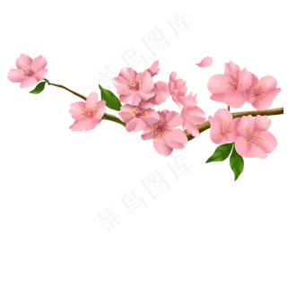 手绘粉红色的桃花免抠图手绘粉红色的桃花免抠图
