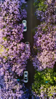 俯拍汽车高清摄影图片