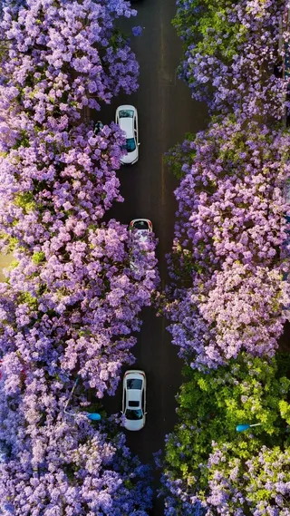 俯拍汽车高清摄影图片