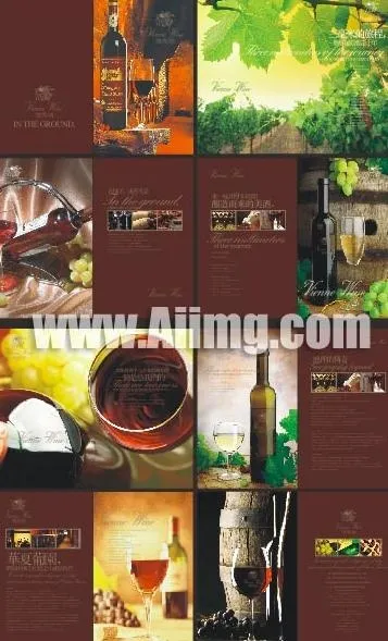维埃纳葡萄酒画册cdr矢量模版下载