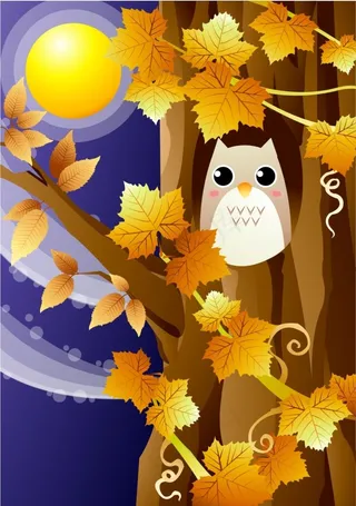 树洞里的猫头鹰