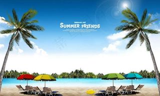 海滩椰子树图片