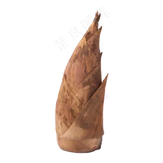 一颗新鲜美味的笋一颗新鲜美味的笋