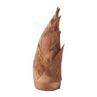 一颗新鲜美味的笋一颗新鲜美味的笋