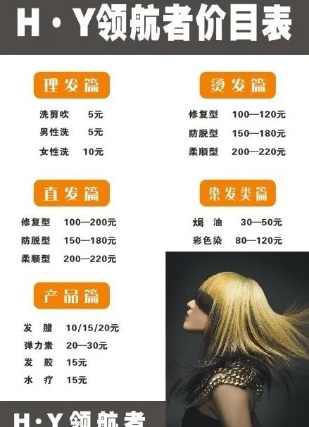 领航者价格表图片cdr矢量模版下载