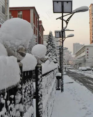 春雪图片