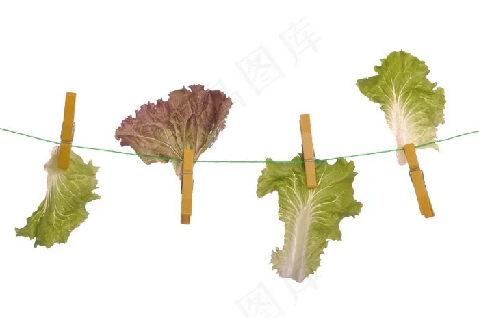 节食的概念