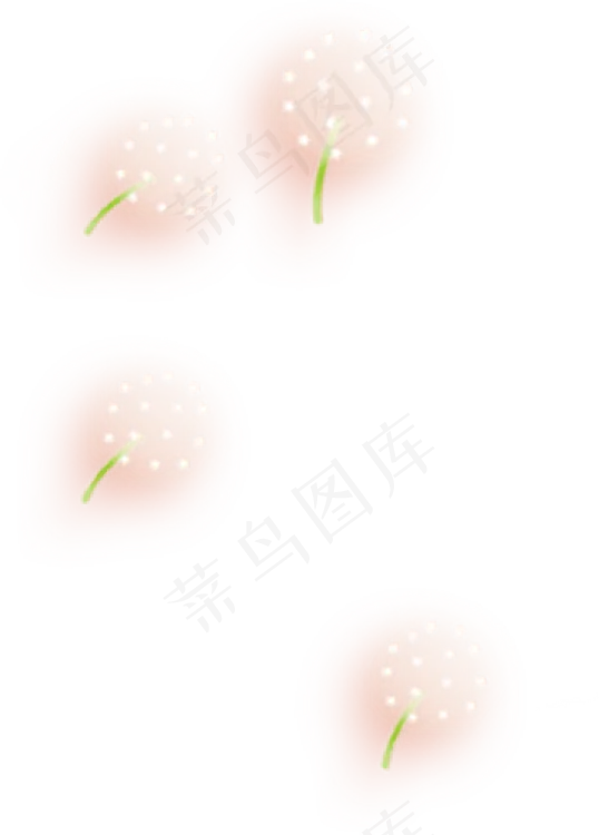 白色蒲公英背景图片素材