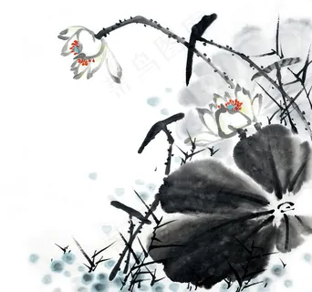 中国风水墨荷花装饰画