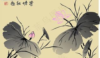 菏塘秋趣 荷花图片