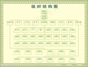 组织结构图图片