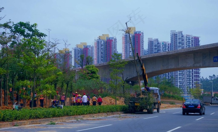 交通建设 道路绿化