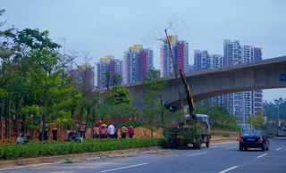 交通建设 道路绿化