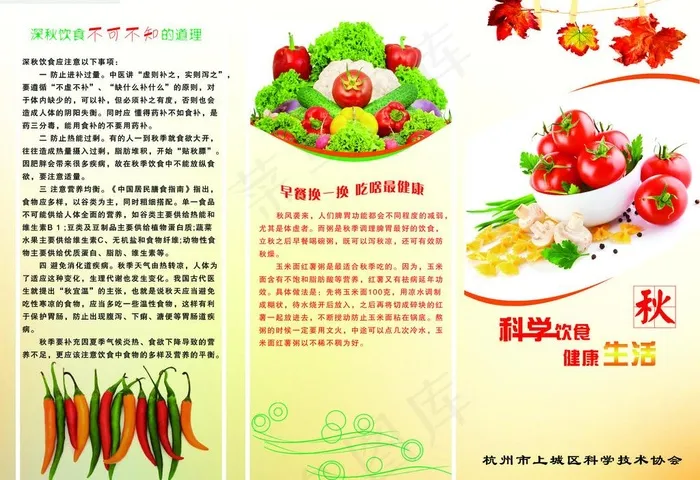 科学饮食 健康生活 三折页封面图片(3437X2551(DPI:300))psd模版下载