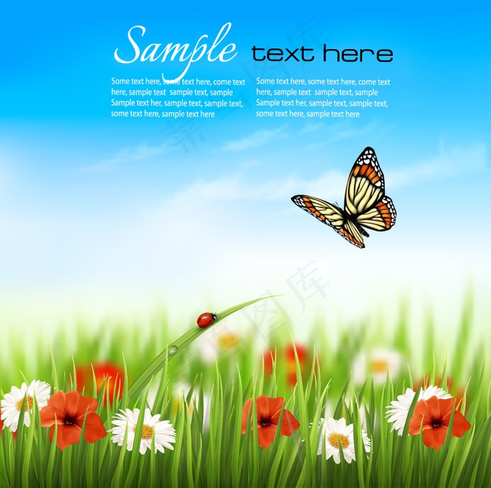 春天蝴蝶花草