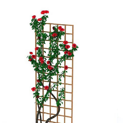 园林植物、景观植物、树木3D模型免...