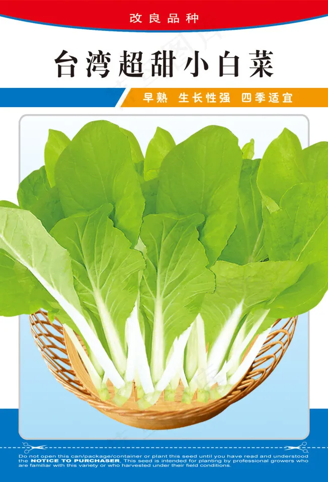 *超甜小白菜psd模版下载