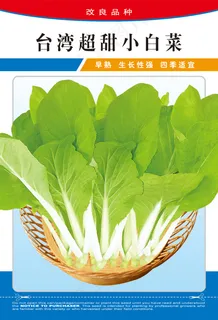 *超甜小白菜