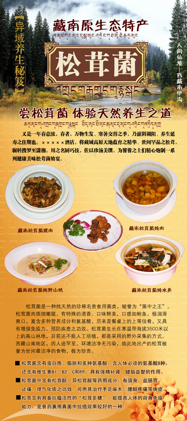 松茸菌推广介绍X展架(2268X5102(DPI:72))psd模版下载