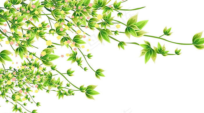 树叶花朵矢量素材图片cdr矢量模版下载