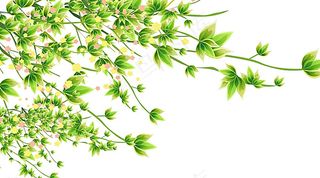 树叶花朵矢量素材图片