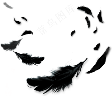 黑色羽毛卡通透明素材