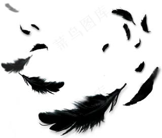 黑色羽毛卡通透明素材