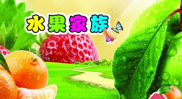 水果展板图片