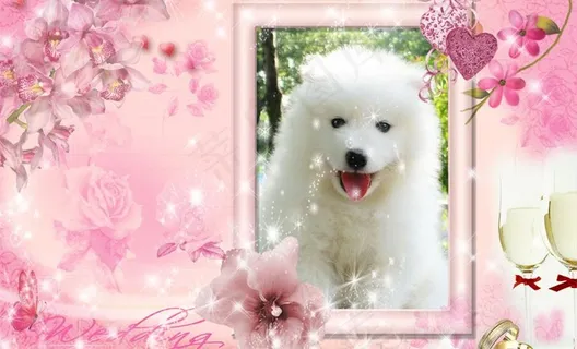 相框相册素材图片