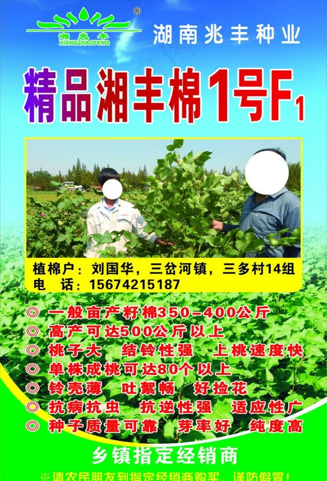 棉花包装图片cdr矢量模版下载