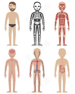 卡通人物扁平化可爱各种职业矢量素材