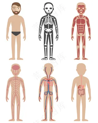 卡通人物扁平化可爱各种职业矢量素材
