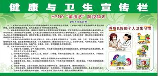 H7N9禽流感海报设计模板