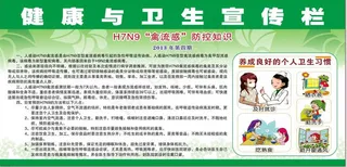 H7N9禽流感海报设计模板