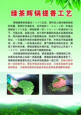 绿茶辉锅工艺图片